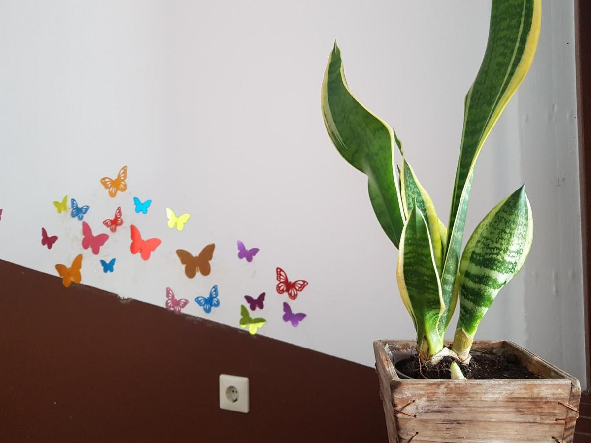 Penthouse Backpackers Vandrehjem Osnabrück Eksteriør billede
