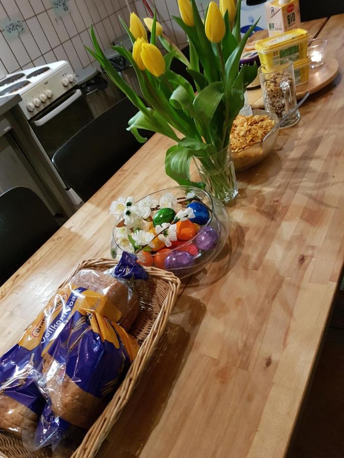 Penthouse Backpackers Vandrehjem Osnabrück Eksteriør billede