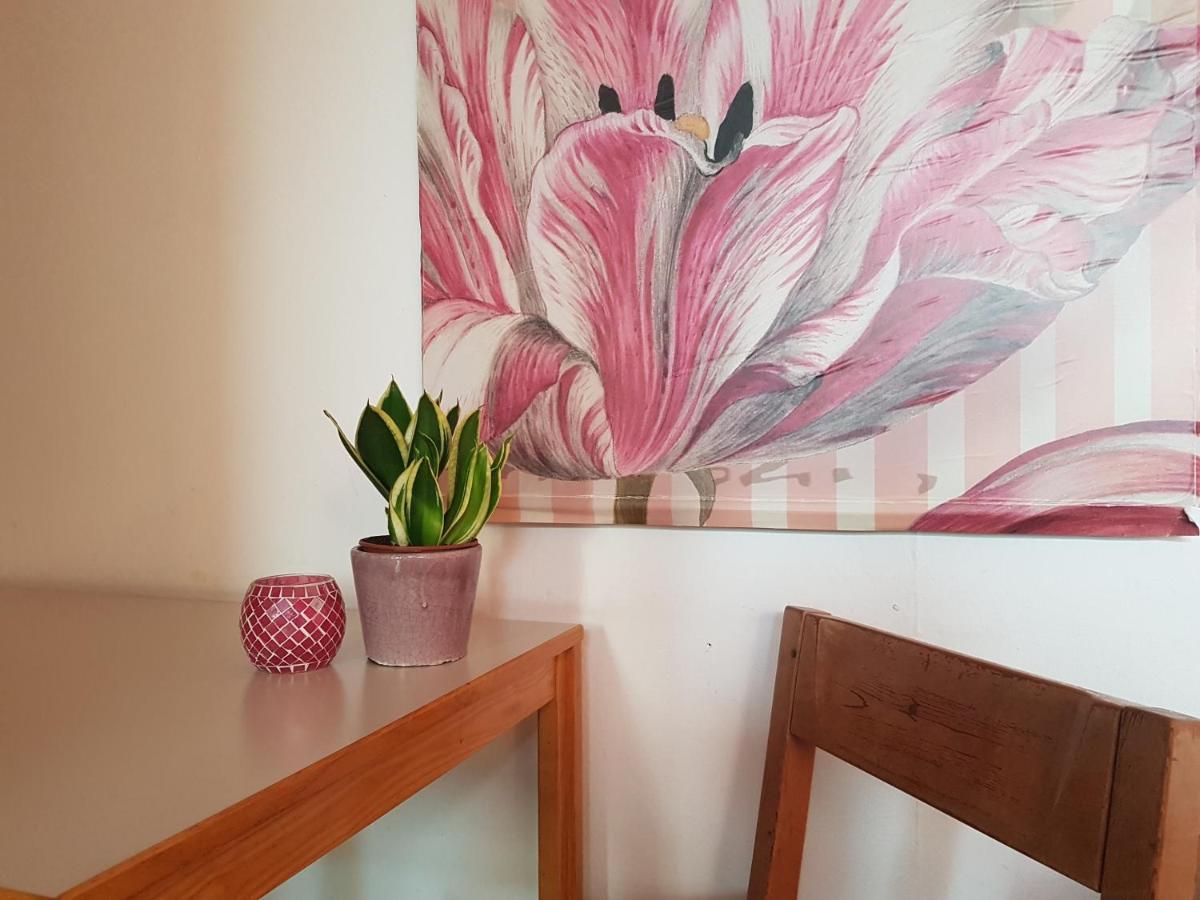 Penthouse Backpackers Vandrehjem Osnabrück Eksteriør billede